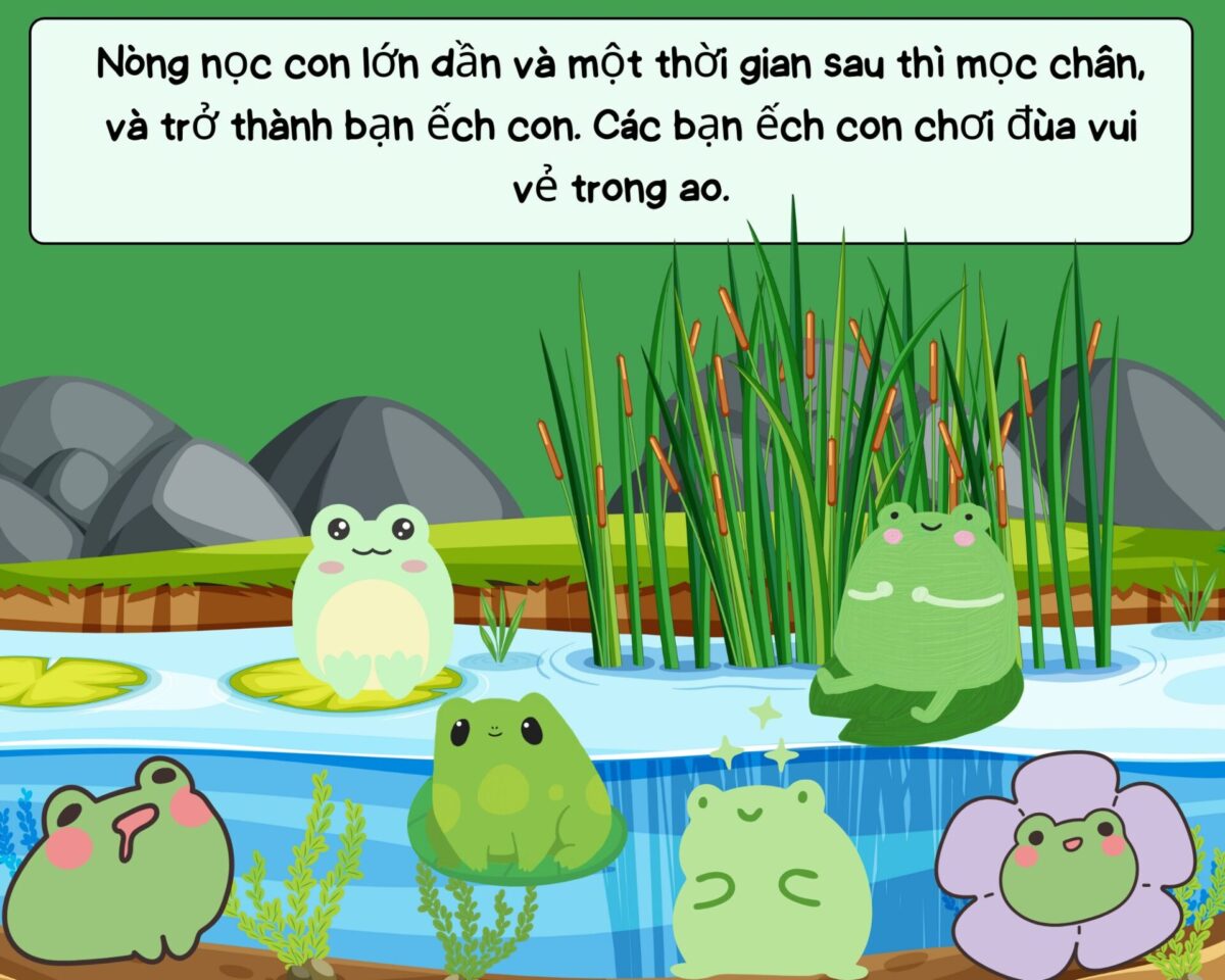 Truyện tranh: Câu chuyện của ếch 4 truyen tranh cau chuyen cua ech