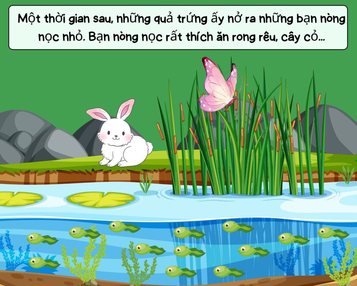 Truyện tranh: Câu chuyện của ếch 3 truyen tranh cau chuyen cua ech 3