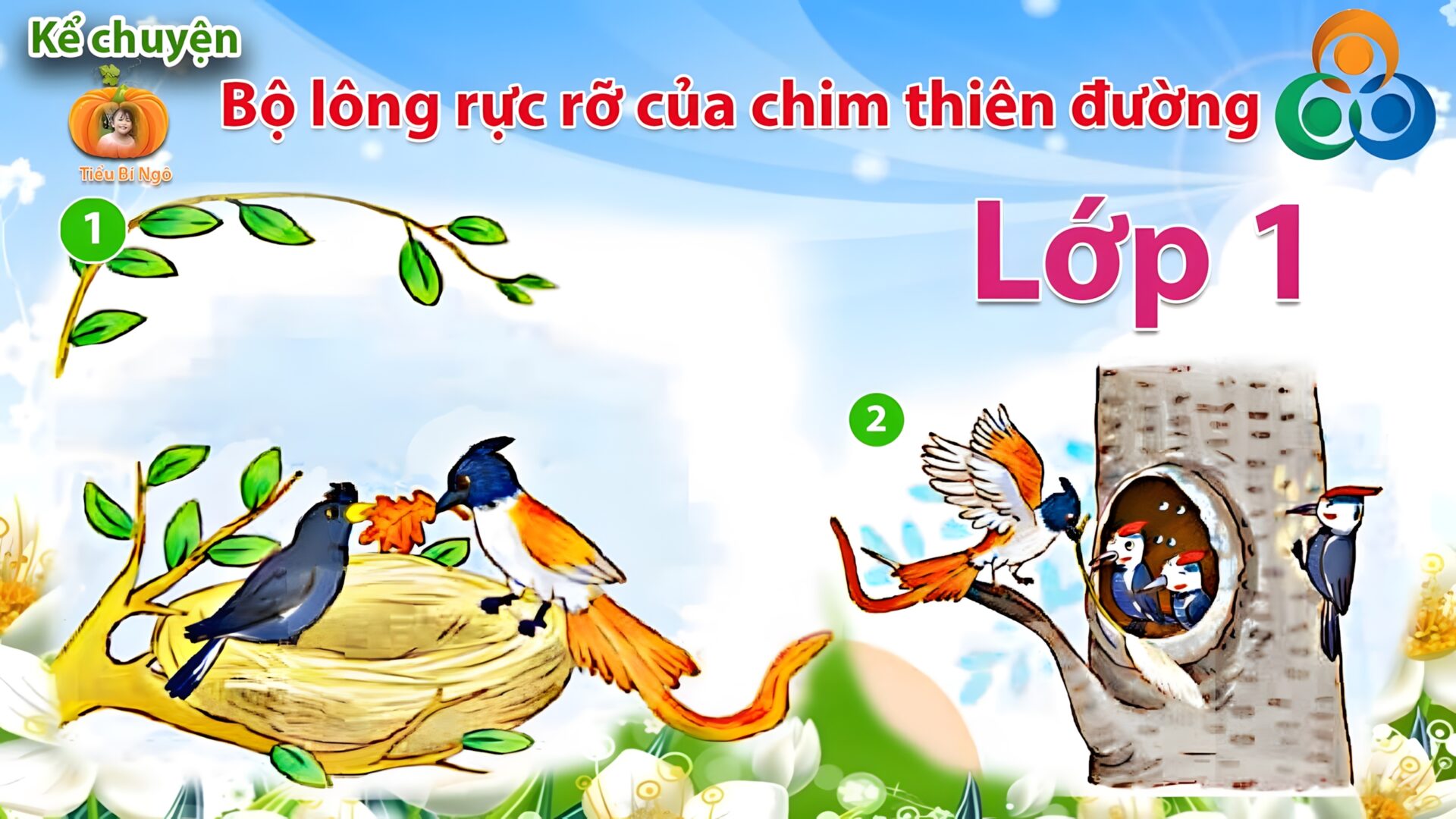 Truyện Bộ Lông Rực Rỡ Của Chim Thiên đường (Audio) - Sách Thiếu Nhi